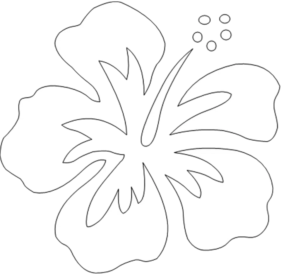 hibiscus Photoroom